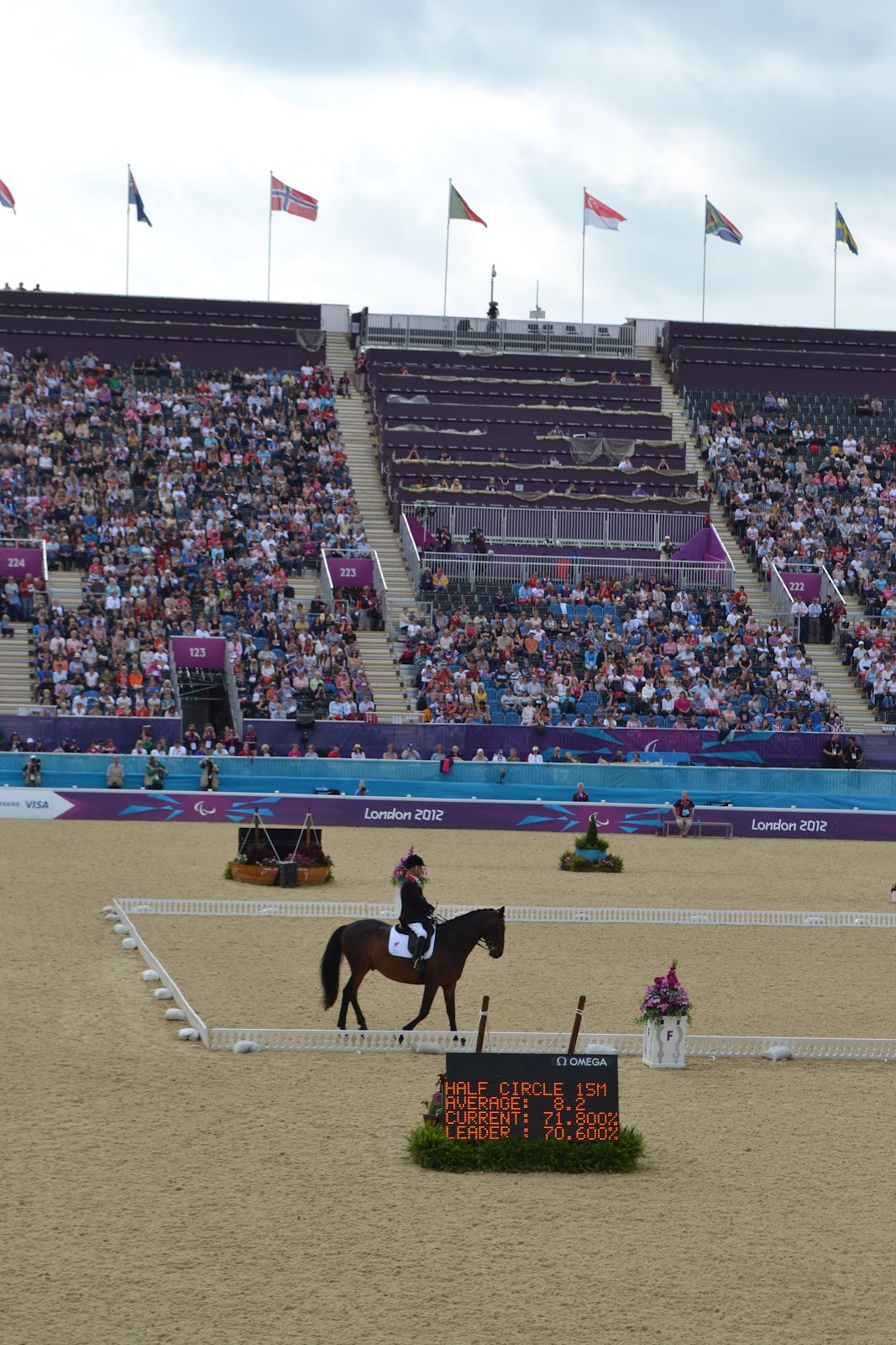 Paralympic Dressage The Runner Beans
