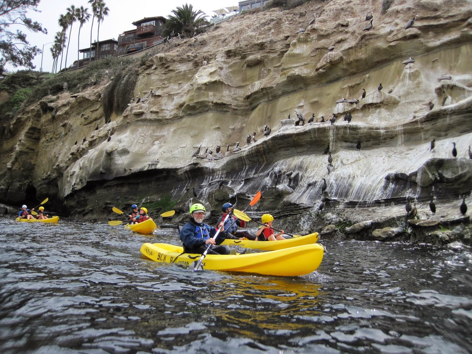 La Jolla Sea Cave Kayaks We are OPEN!