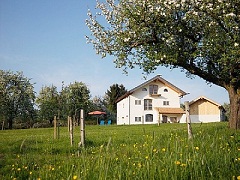 Cómo Hacer una Huerta en el Jardín paso a paso Cómo Hacer una Huerta en el Jardín paso a paso