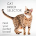 Cat Breeds for Cat Lovers