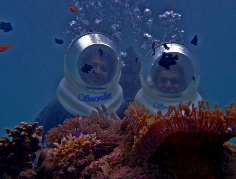 SEA WALK BOTH NORTH BAY India Travel Forum SEA WALK BOTH NORTH BAY India Travel Forum