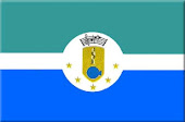 Bandera del Municipio Miranda