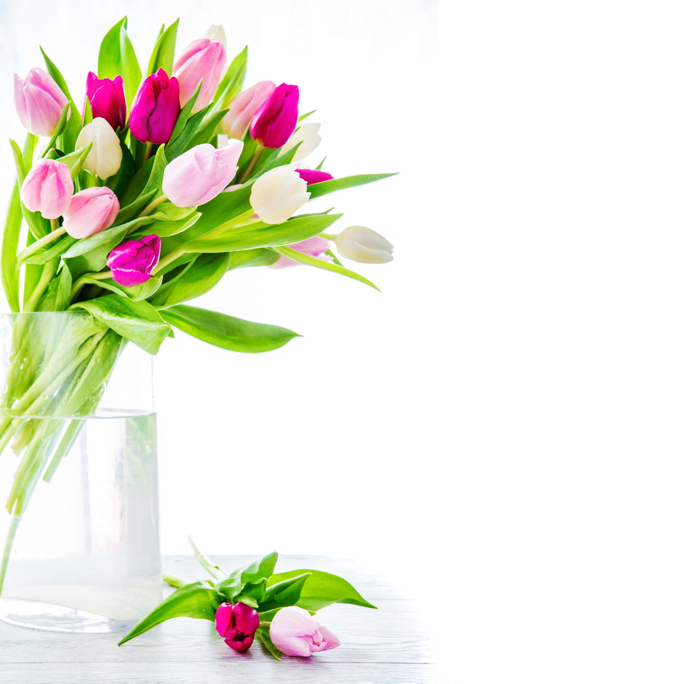 targetas de flores