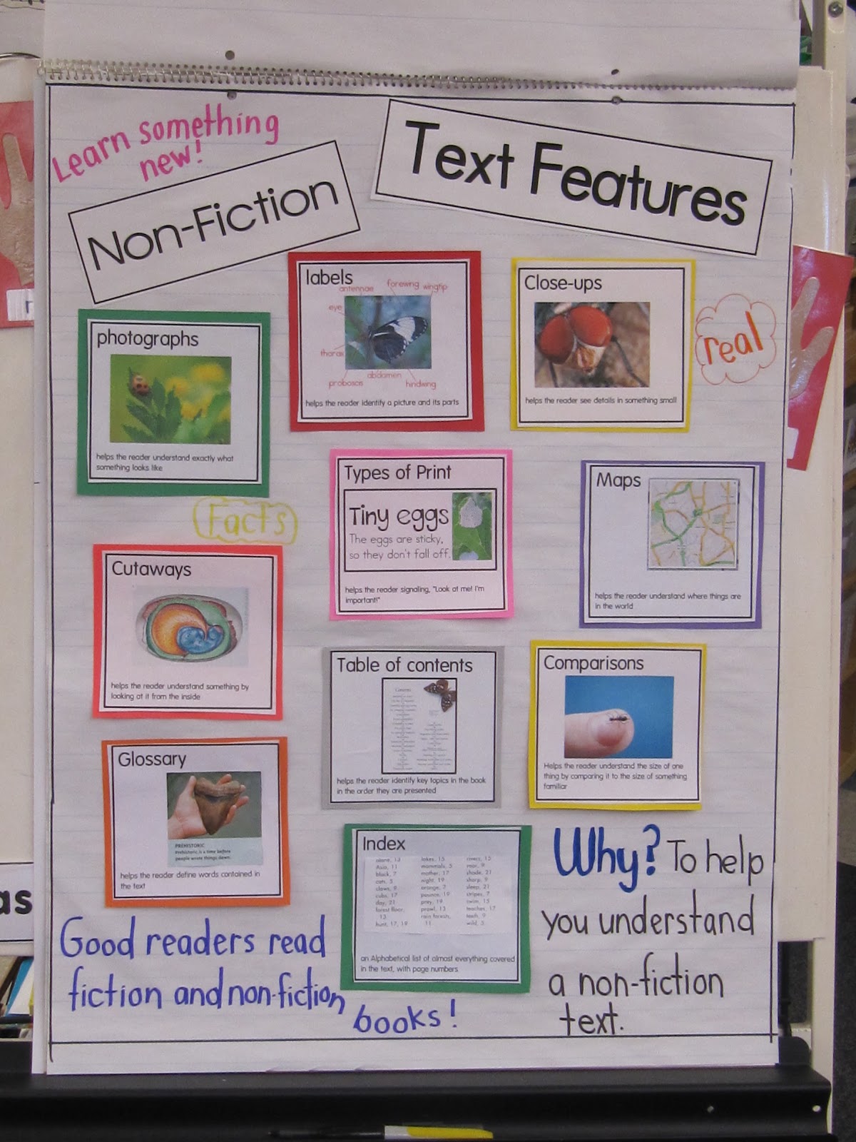 Nonfiction Text Features Anchor Chart