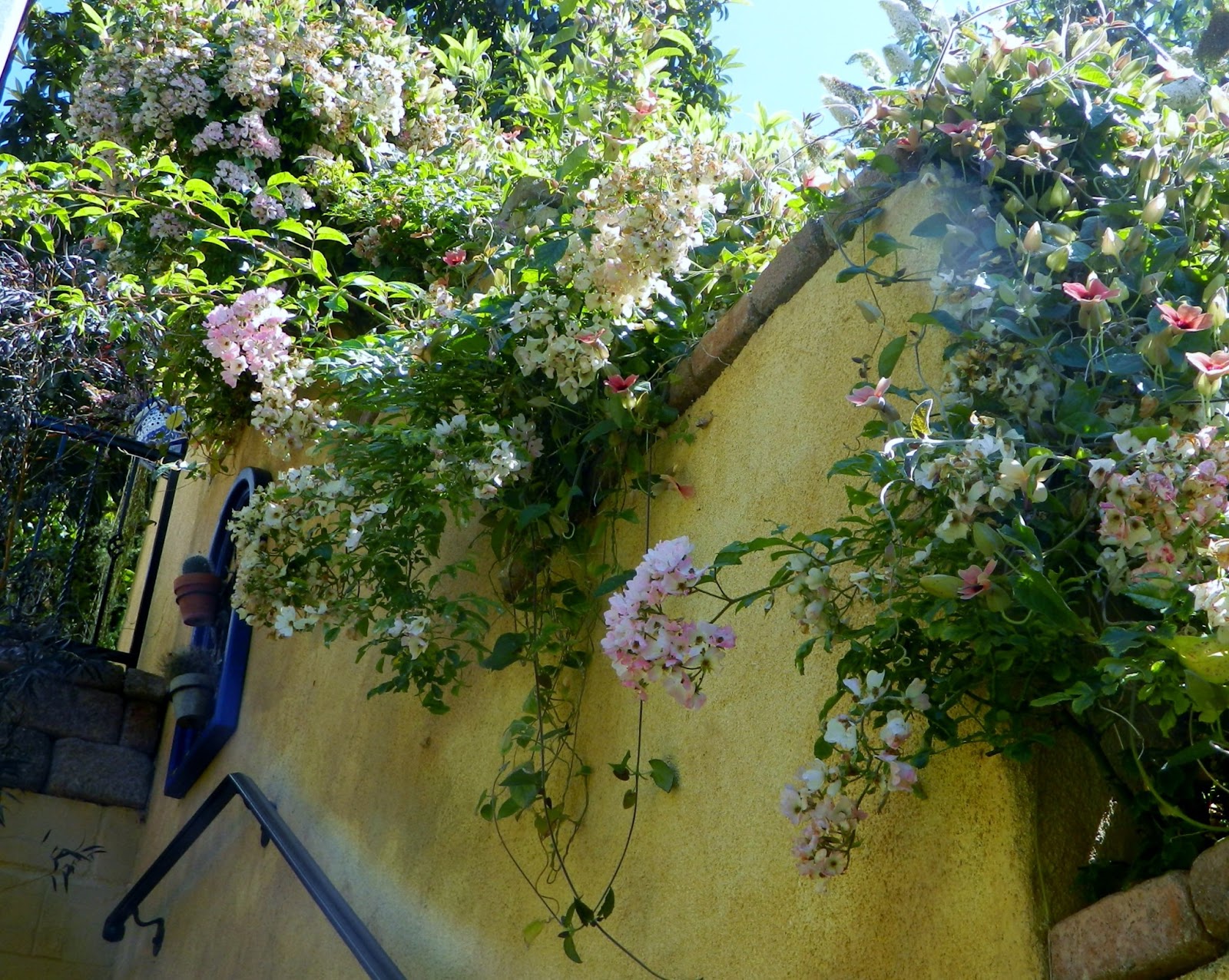 Pin by Heidi Shepherd on yards and gardens | Spanish garden, Butterfly