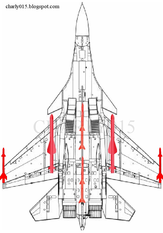El J-15 es Mejor que el F/A-18 en Combate Aéreo y Ligeramente Inferior en Términos de ataque contra Objetivos Marítimos Su-33+plano+pl-12+yj-83+china
