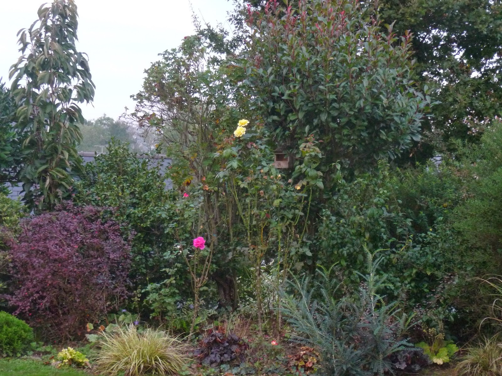 Ma Terre De Bruyere Le Portail Est Ouvert Entrez