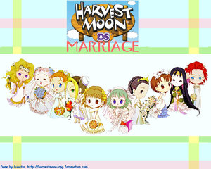 harvest moon ds cute bachelors harvest moon ds cute bachelors