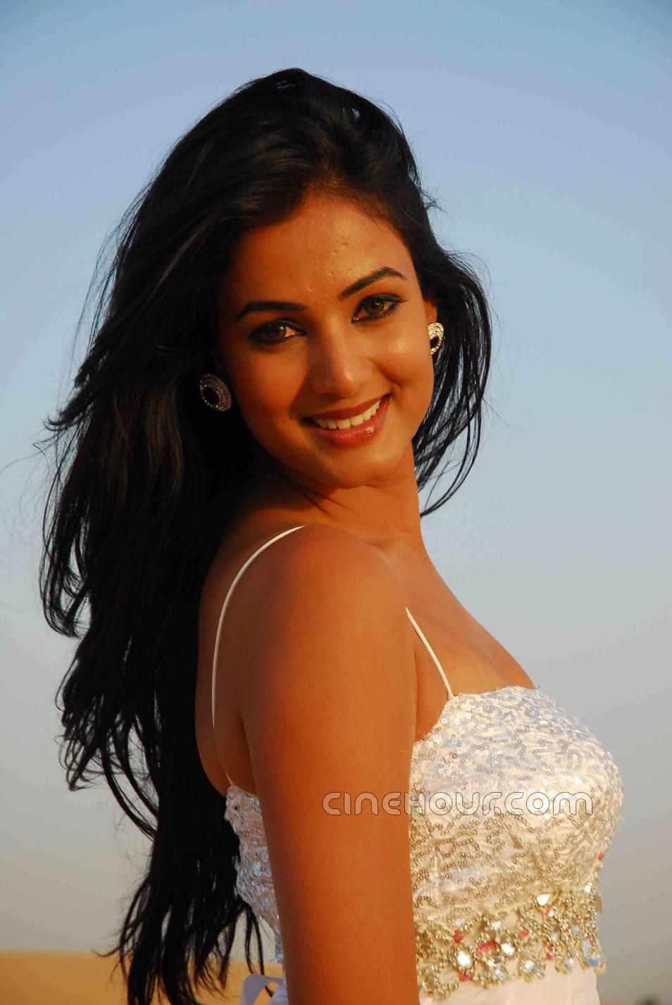 Sonal Net Worth