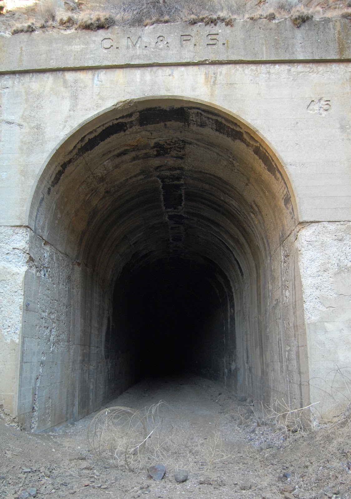 Monkey Puzzle Blog Boyleston Tunnel, 1908