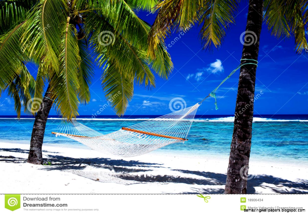 Tropical Beach with Hammock Tropical Beach with Hammock