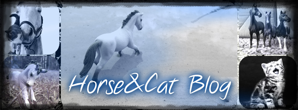 Horse & Cat Blog