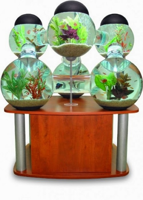 02-Labyrinth-Maze-Aquarium-Fish-Tank-Opulentitems-www-designstack-co