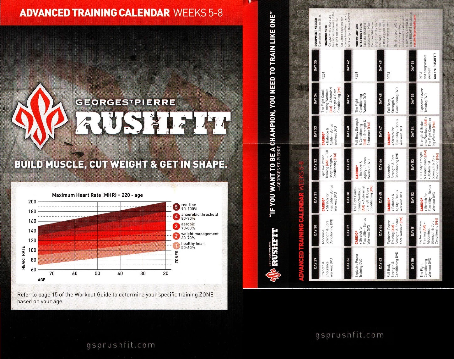 Gsp rushfit workout guide