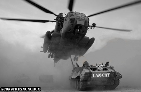 construxnunchux cat war picture