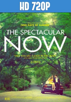 The Spectacular Now 720p Latino