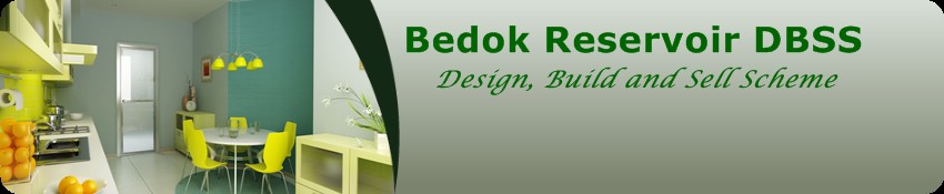 Bedok Reservoir DBSS