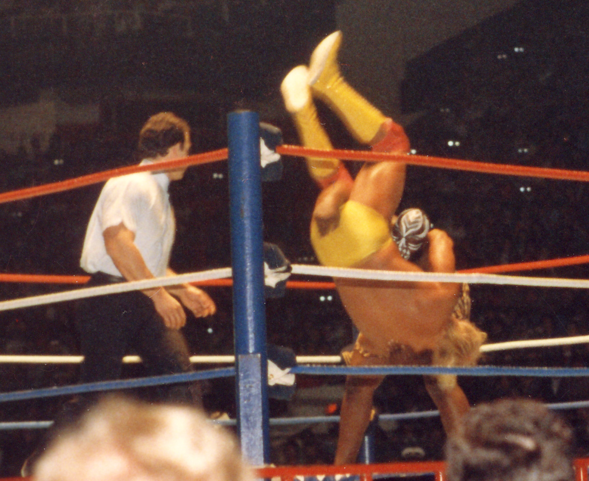 Wwf match big tits photos 47
