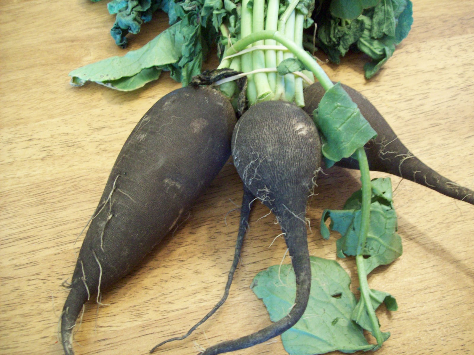 From Calculu∫ to Cupcake∫ Roasted Black Radishes