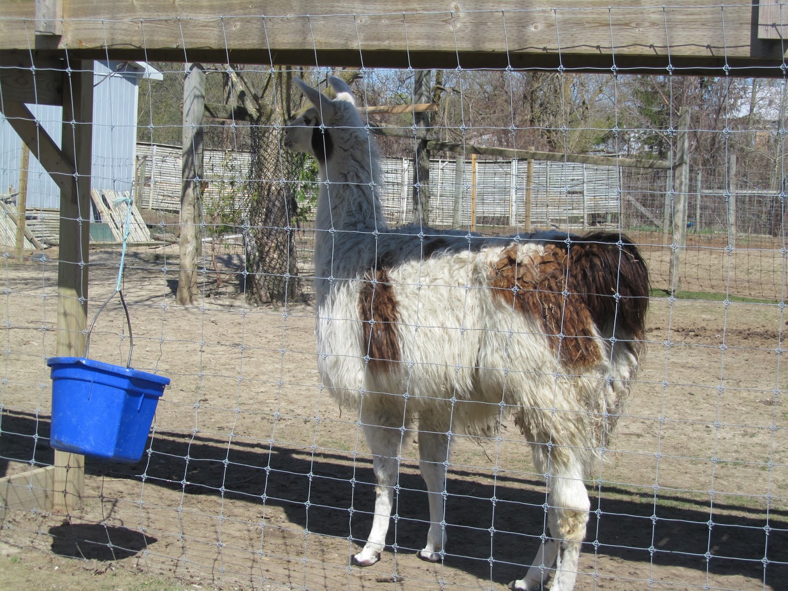 Livin' Life With Style Oshawa Zoo + Fun Farm!