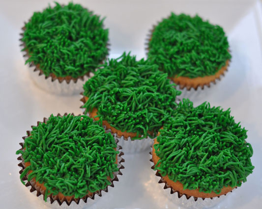 Grass Cupcakes