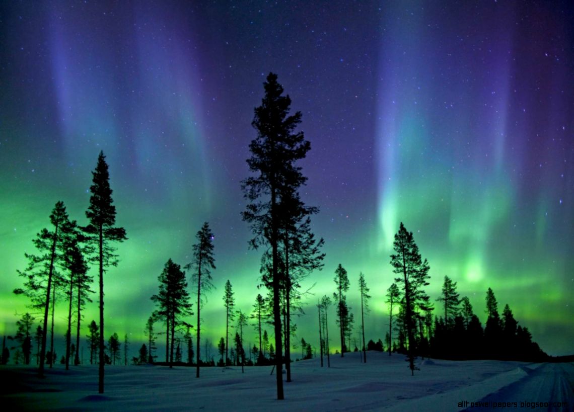 Gorgeous images of animals and nature → KidLit Gorgeous images of animals and nature → KidLit