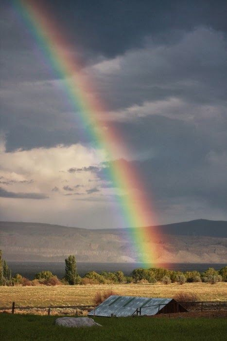 Farm Rainbows