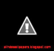 Taliany Wallpaper Shakira Hot Wallpapers Taliany Wallpaper Shakira Hot Wallpapers