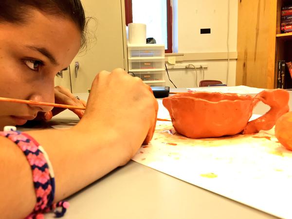 albemarle charlottesville esl summer immersion excursion program bama works fund