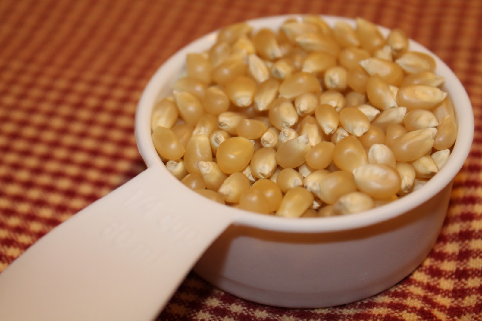 Grounded Wife Paper Bag Popcorn