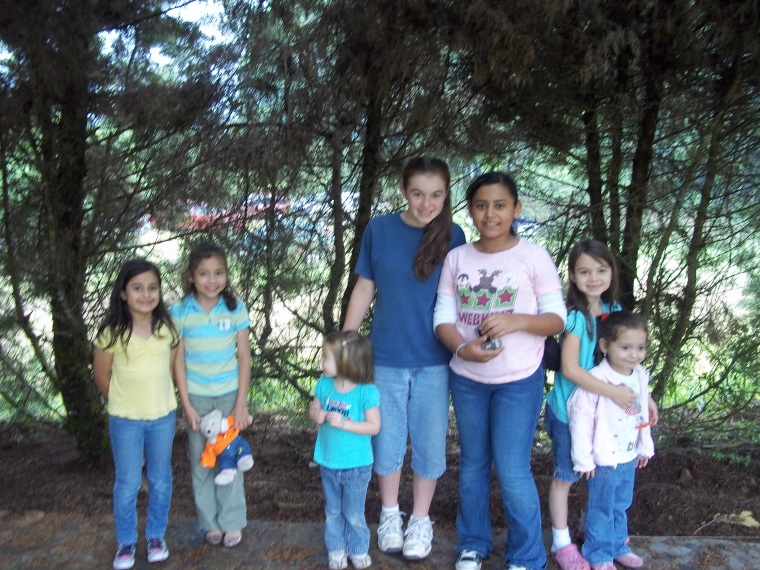 phrase translation, italian