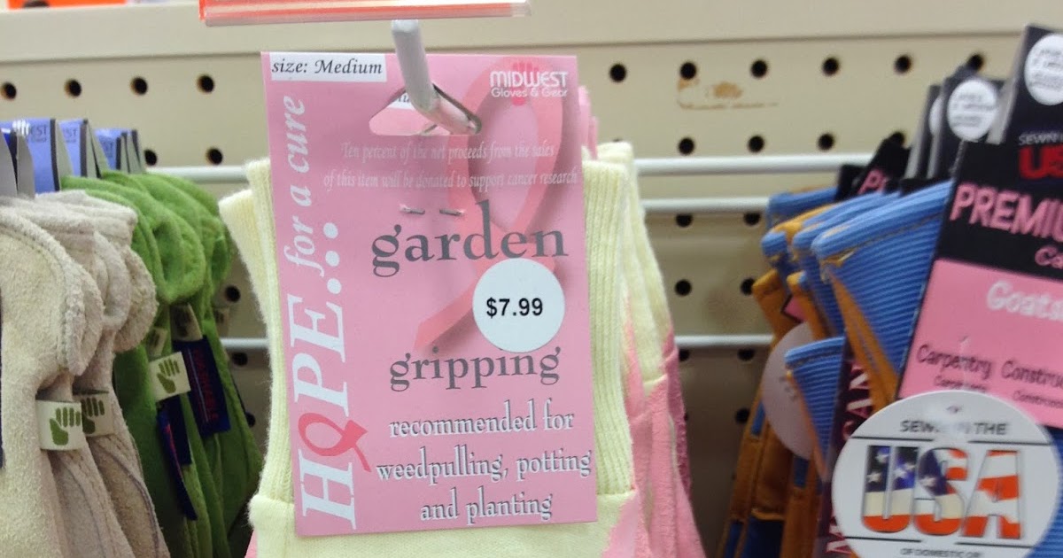 Choosing Joy More Stinky Pinky