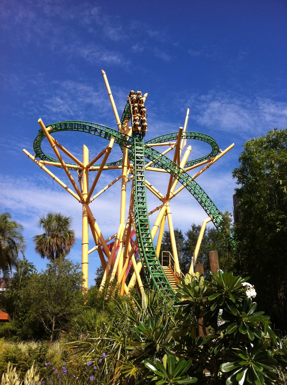Busch Gardens Tampa My Day Of Roller Coasters, Beef Brisket, and Animal Sightings Adventures