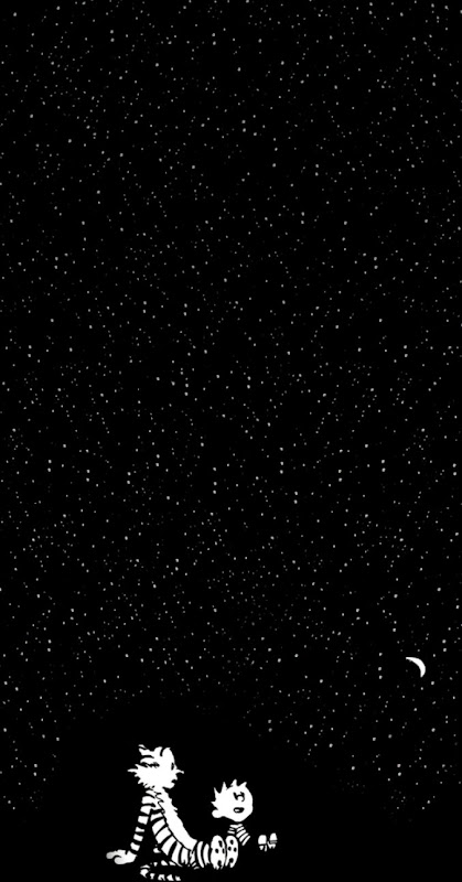 calvin and hobbes in the starry night iPhone 5s Wallpaper Download calvin and hobbes in the starry night iPhone 5s Wallpaper Download