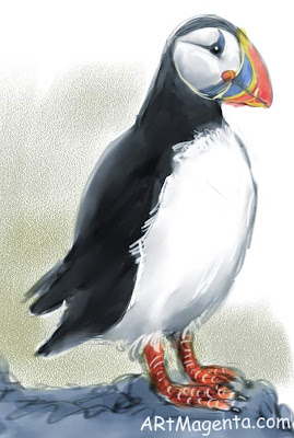 Atlantic Puffin is a bird sketch by artist and illustrator Artmagenta
