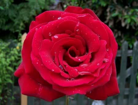 First Android 2.3 APad A816