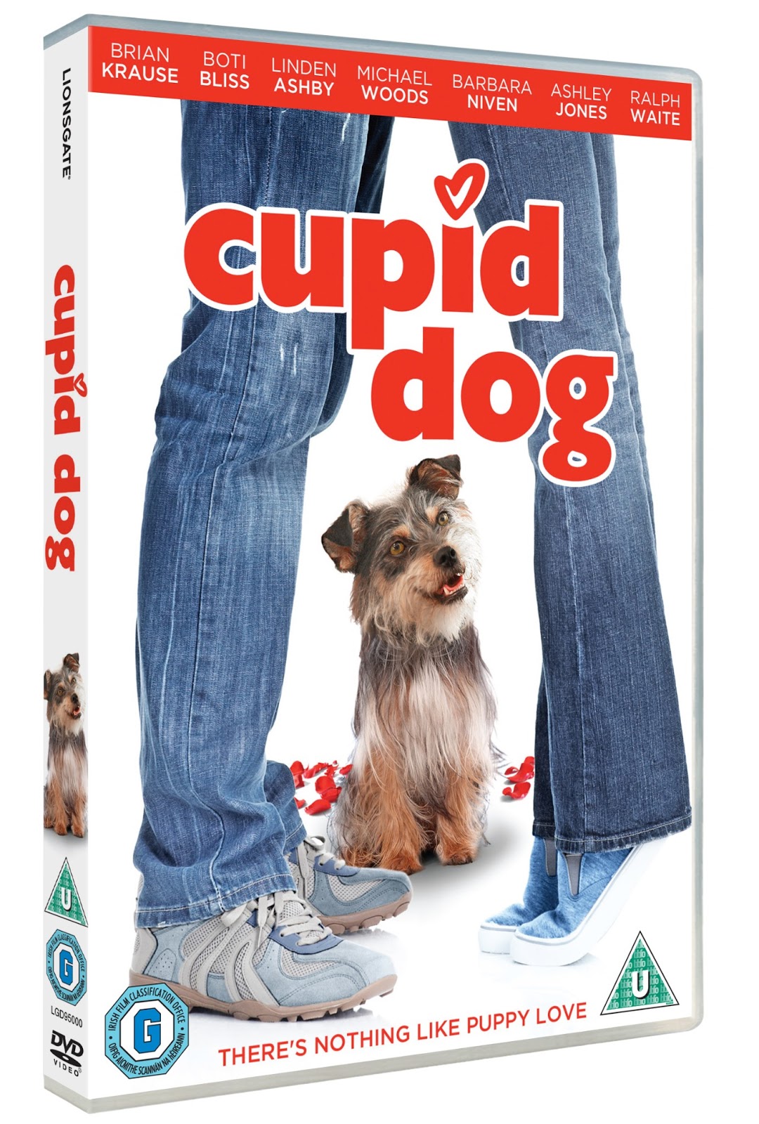 cupid s dogs cupid dvd this is cupid s dogs cupid dvd this is