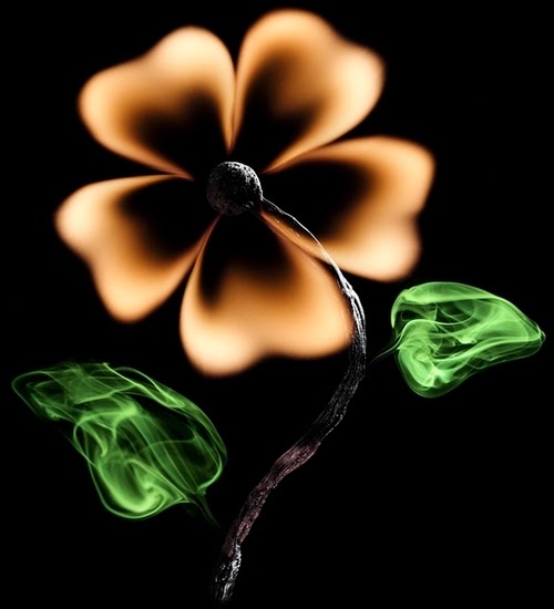 01-Match-Flower-Flame-Russian-Photographer-Illustrator-Stanislav-Aristov-PolTergejst-www-designstack-co