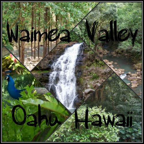 Runaway Bridal Planner Waimea Valley Oahu Hawaii