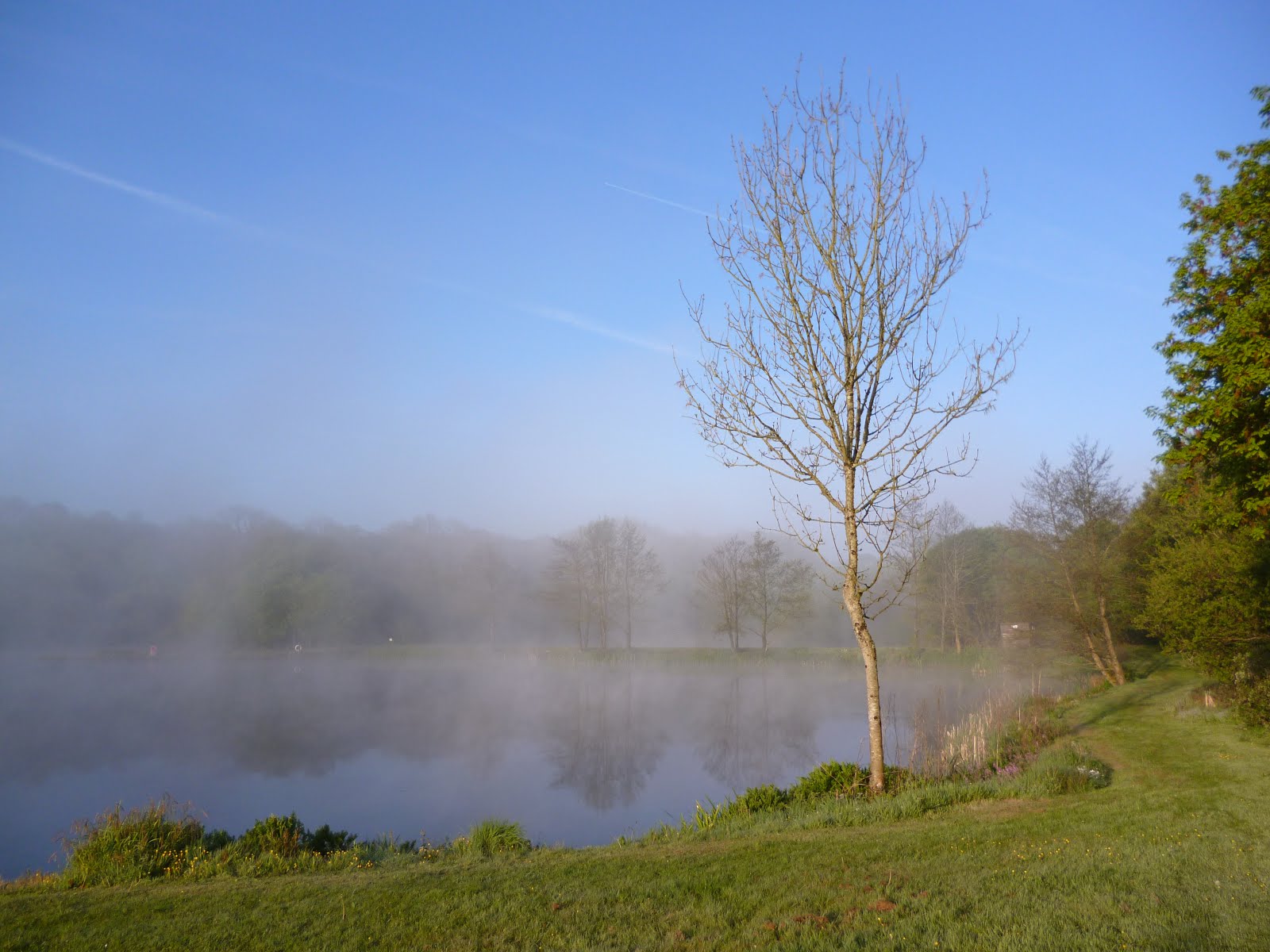 MISTY MORNING