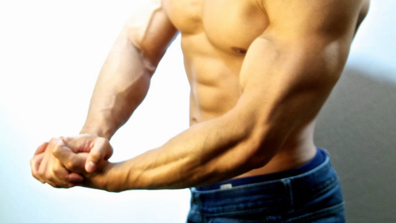 How To Build Arm Muscle