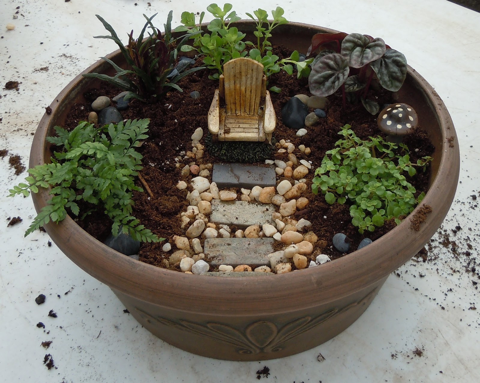 Heather's Home and Garden: Faerie Garden!