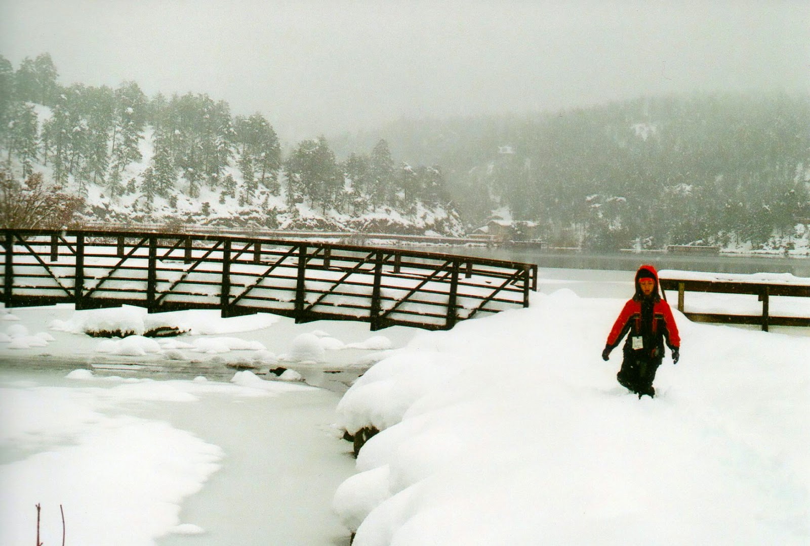 Impression Evergreen Colorado Christmas