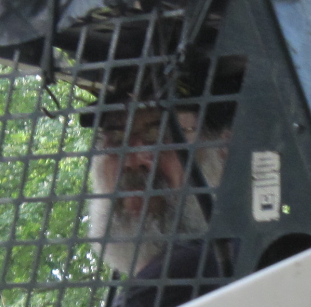 BLV employee Allen Mathes in his cage where he belongs.