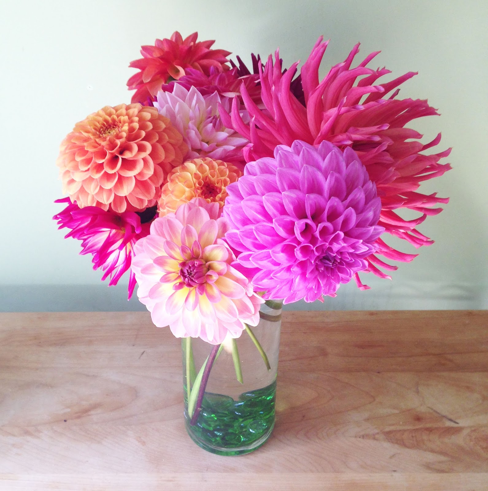 Venture Out Linda's Dahlias Washougal WA