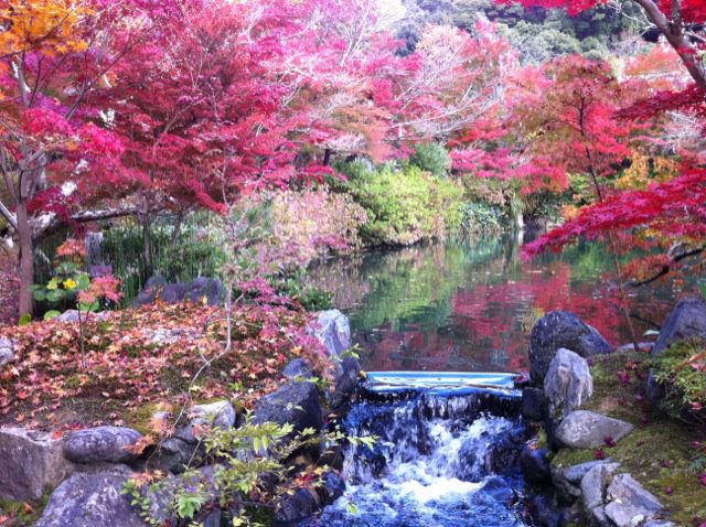[Image: Beautiful+Temple+Eikando+in+Kyoto+Japan.jpg]