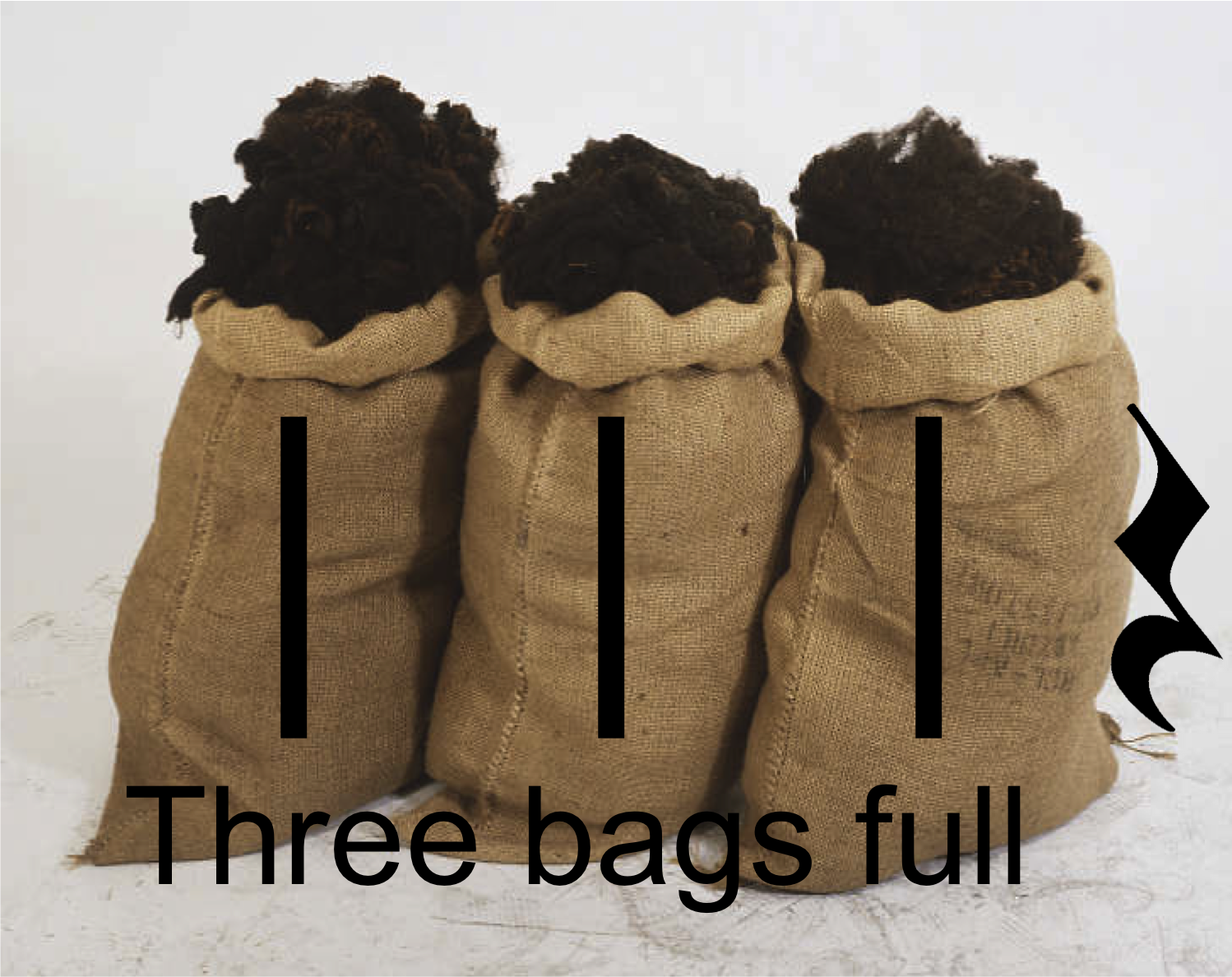 Baa Baa Black Sheep Beth's Notes