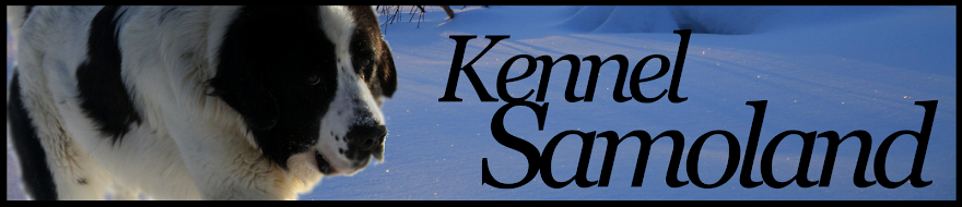 Kennel Samoland