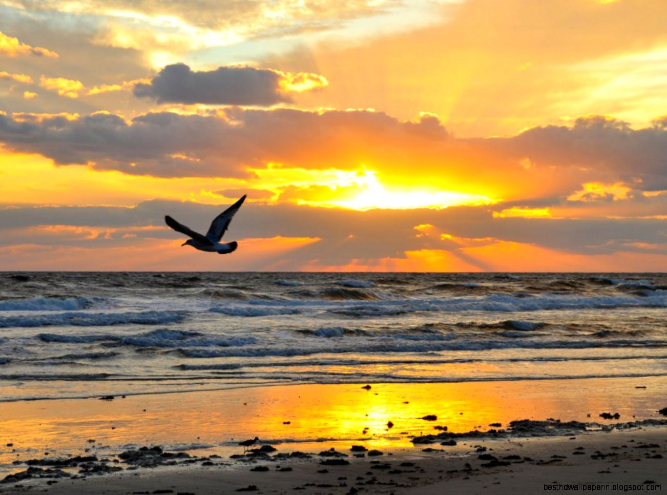 Sunrise On Beach Sunrise On Beach