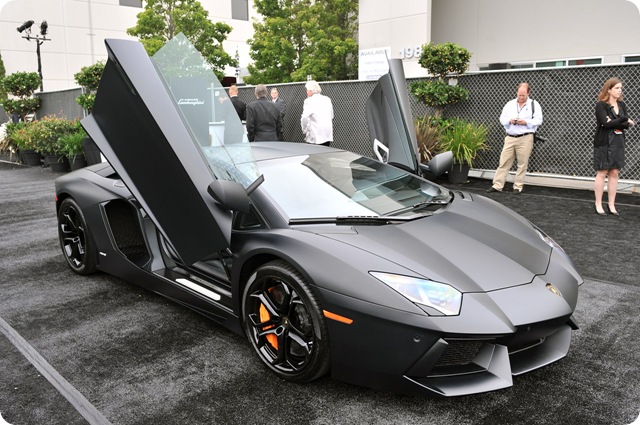 Karznshit 11 Lamborghini Aventador Matte Black